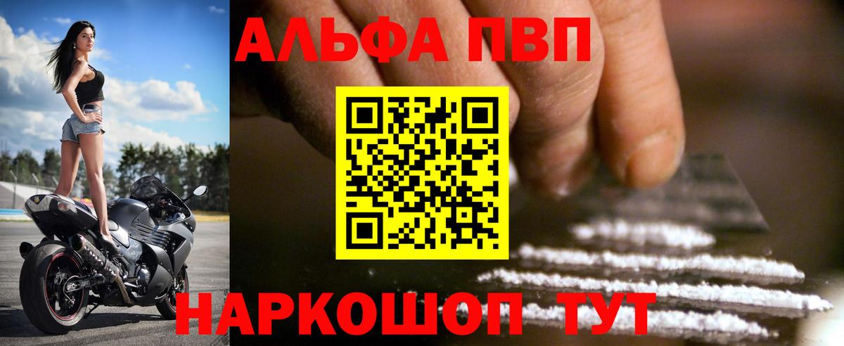 Альфа ПВП СК КРИС Тосно