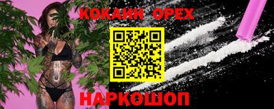 сатива Нальчик