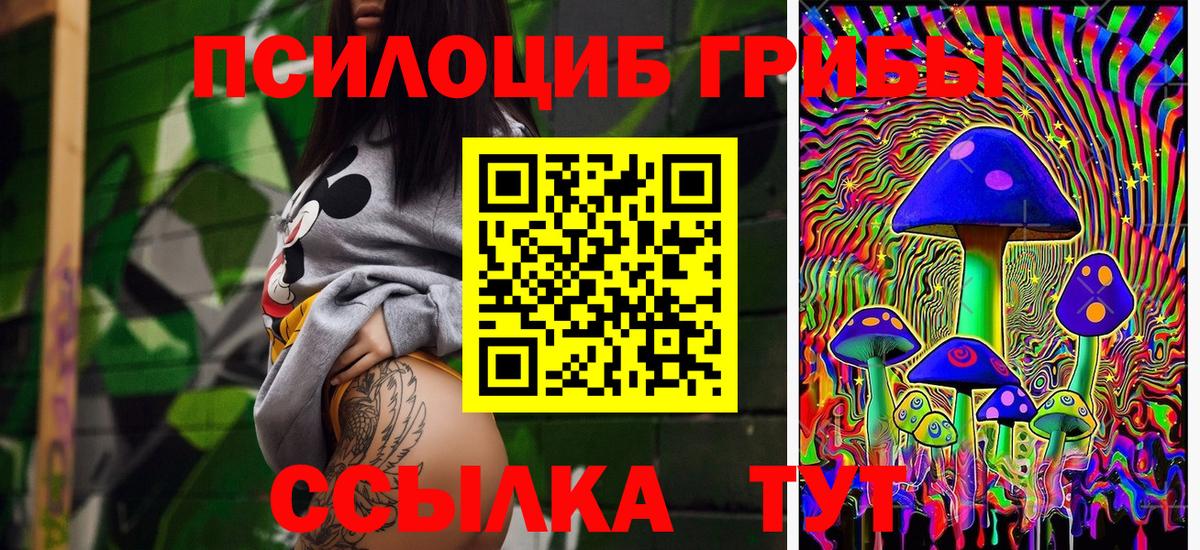 Псилоцибиновые грибы Cubensis  Вход с VPN  Тосно 