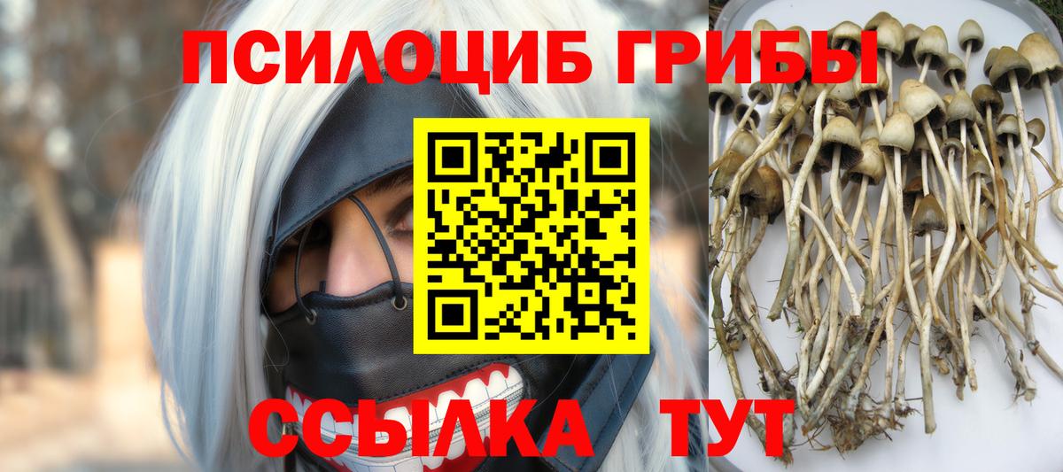 МЕФ кристаллы  Гашиш  Где найти наркотики?  Бошки Шишки  Тосно  Вход с VPN 