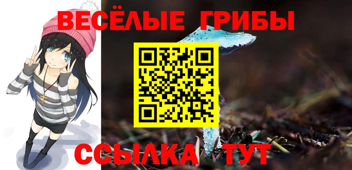 Галлюциногенные грибы MAGIC MUSHROOMS Тосно